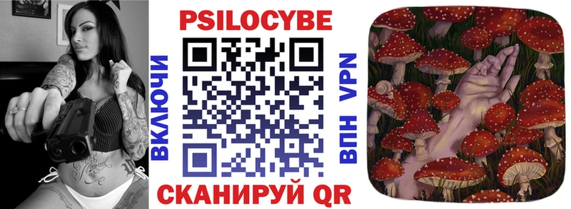 Псилоцибиновые грибы Psilocybe  где купить наркотик  Болхов 